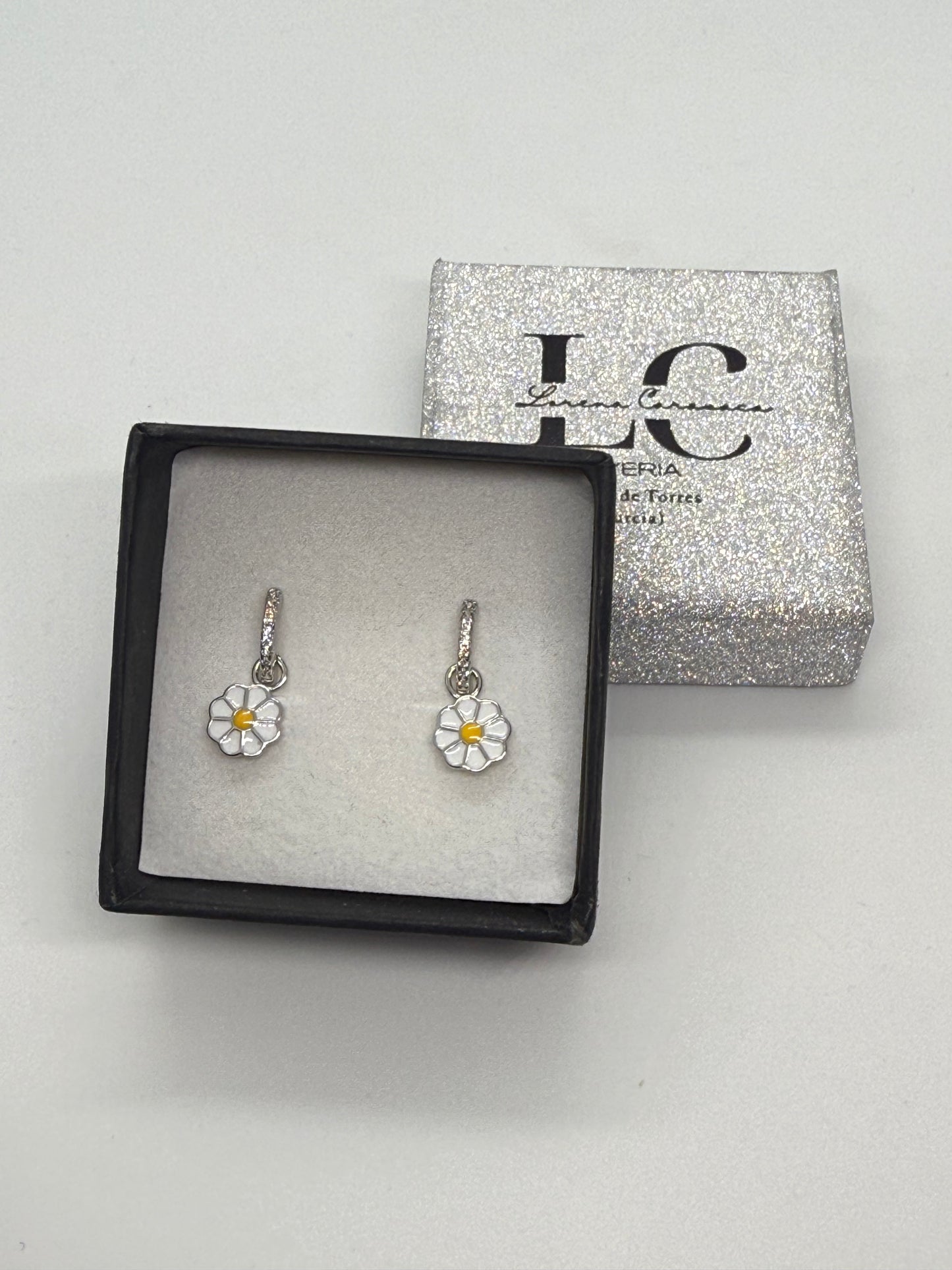 Pendientes plata aro